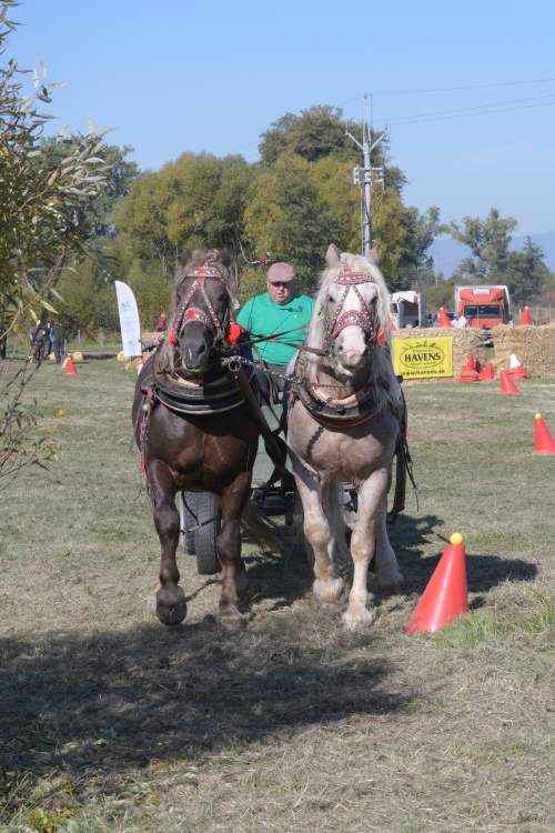 DSC_9115